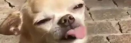 your bibi pornstar nudes image