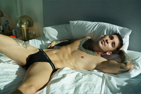 DENNIS NICKOLERO VIP porn star image