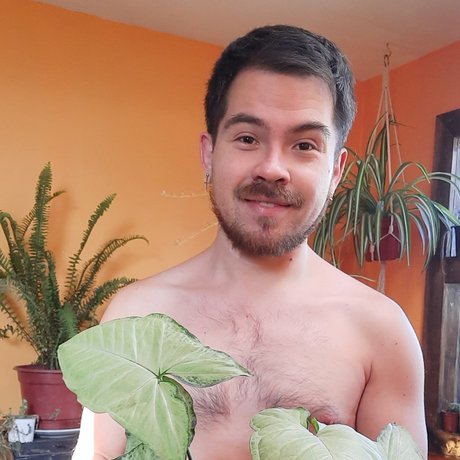 NachoPlantitas star high quality gallery