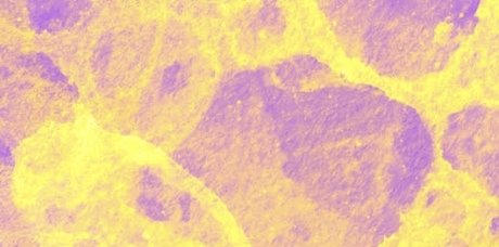 Emmy D top star galleries