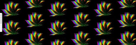 _Daddy_ perfect star photo