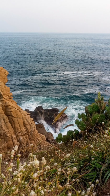 Fate best actress galleries