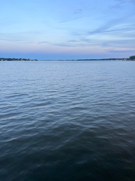 Dingaling Dealer nudes pornstar pictures