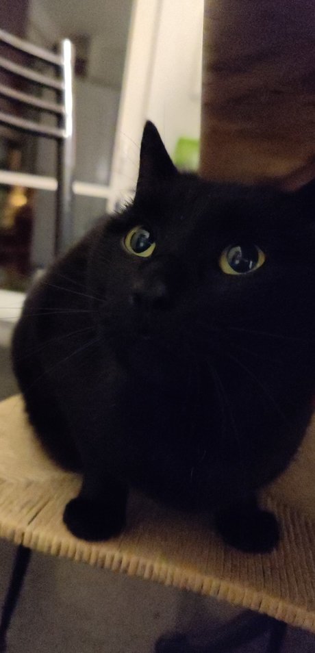 Noel Picar sex star photo