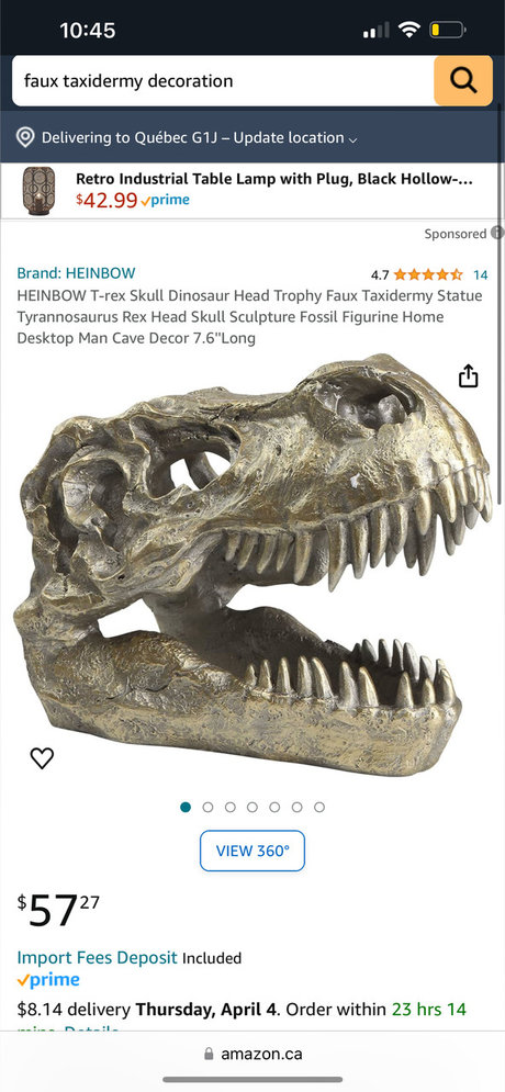 Mysweetmeg star pornographic pictures