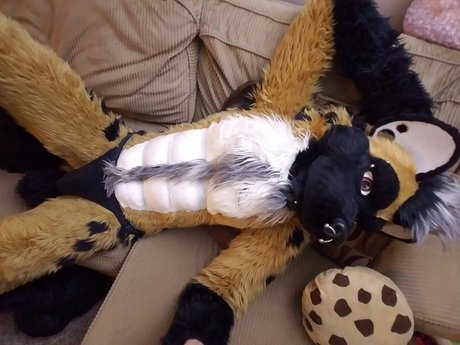 Big Daddy Steel pornstar adult pic