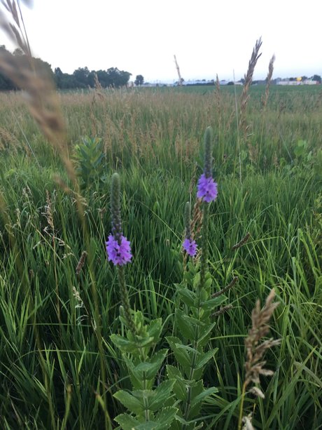 Narina hot pornstar images