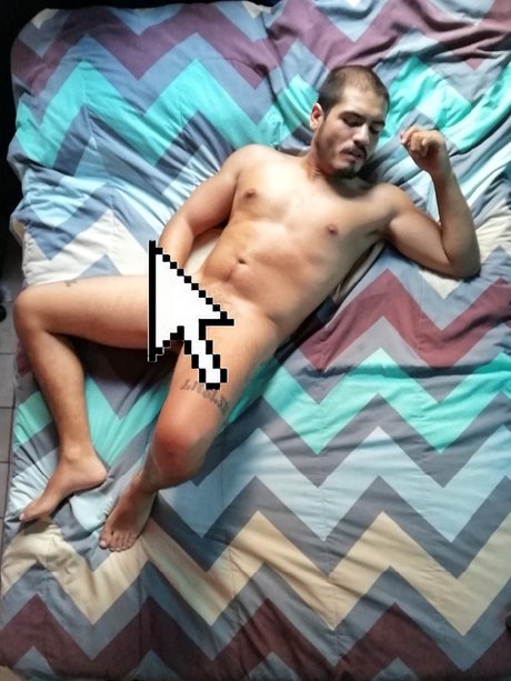 FERNANDO model art img