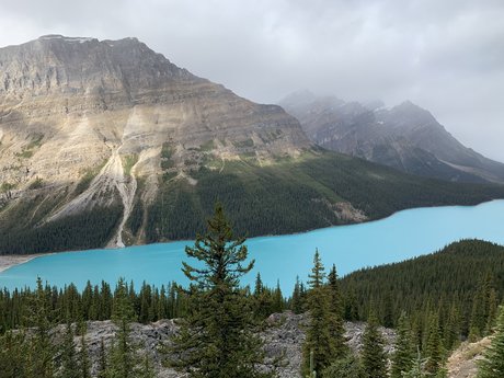 Nancy Van star naked archive