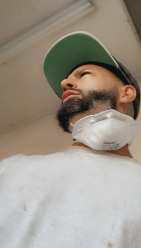 Dmann perfect star gallery