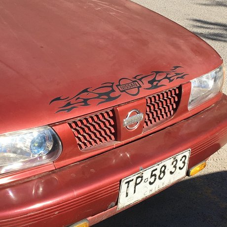 Dominga star adult gallery