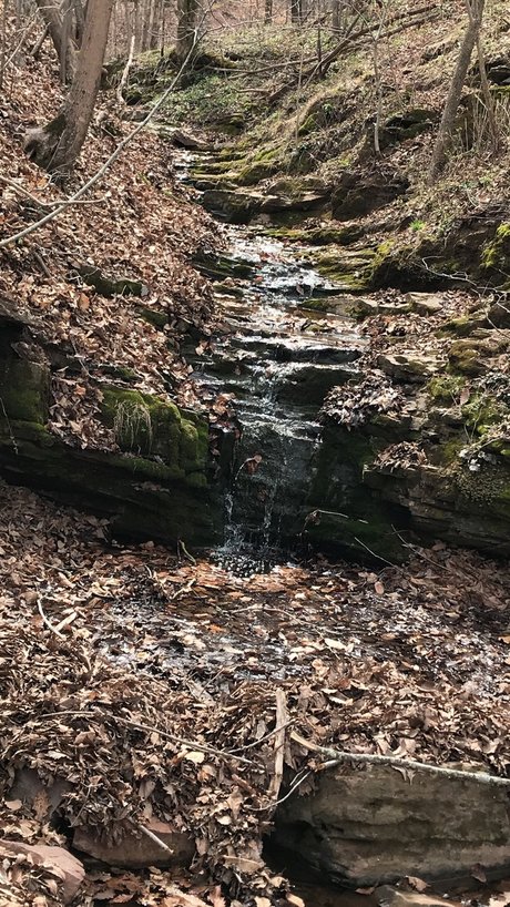 Z0R0D0M pornstar best pics