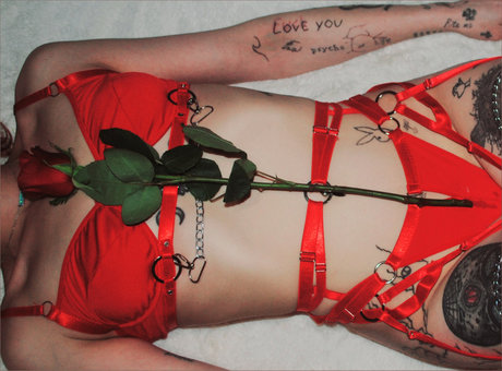 DJNes ssA_ pornstar nice archive