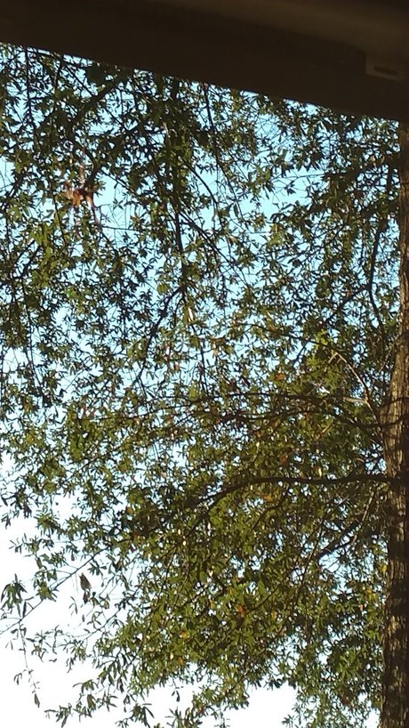 nanabyo nudes actress archive