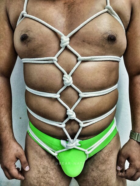 _Natt Black Bear_ star beautiful images