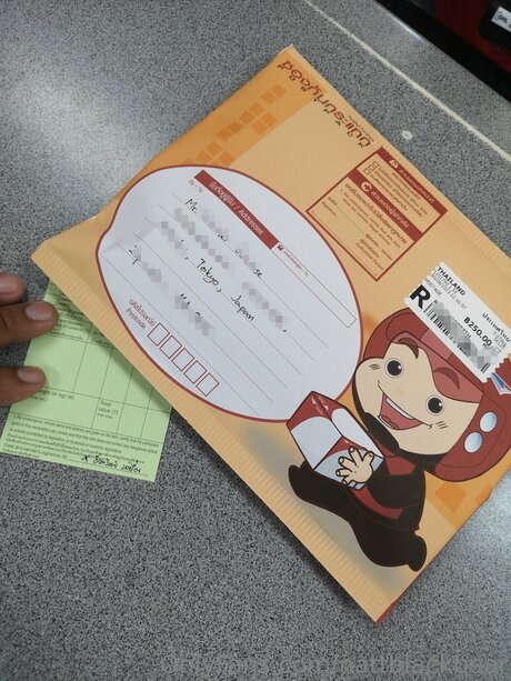 _Natt Black Bear_ star perfect img