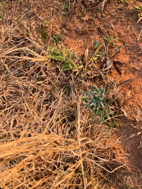 u223611483 xxx pornstar pictures