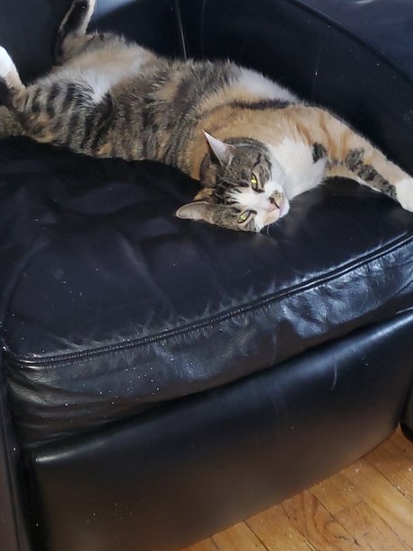 Funkeecold high quality model gallery