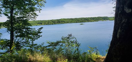 Michael B star high quality pic