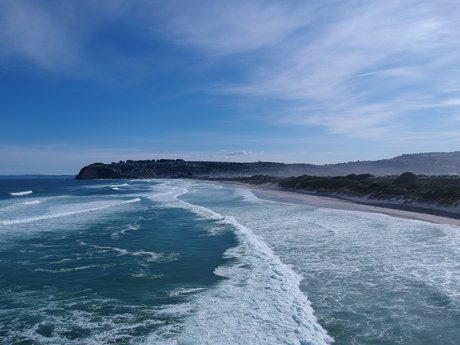 Brodie model hd archive