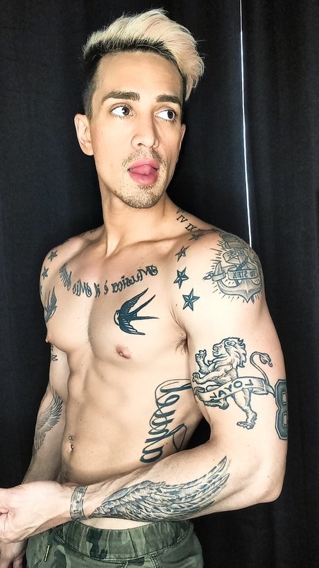 nawel art pornstar galleries