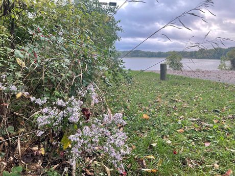 N A T U R E B A B E S free pornstar images