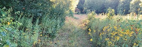 N A T U R E B A B E S nice model image