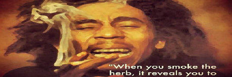 Ninja unicorn_ perfect star image