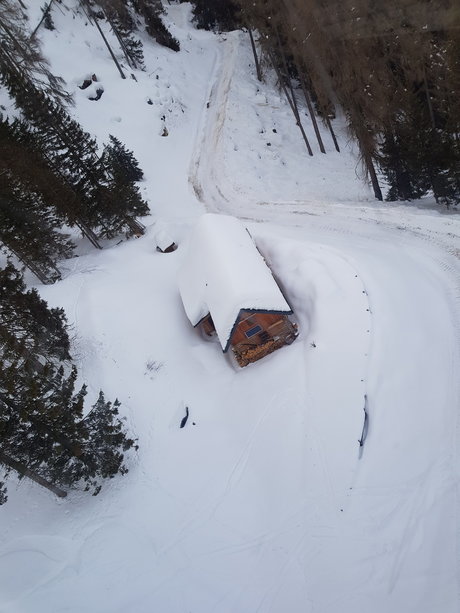 BlackCat model art picture