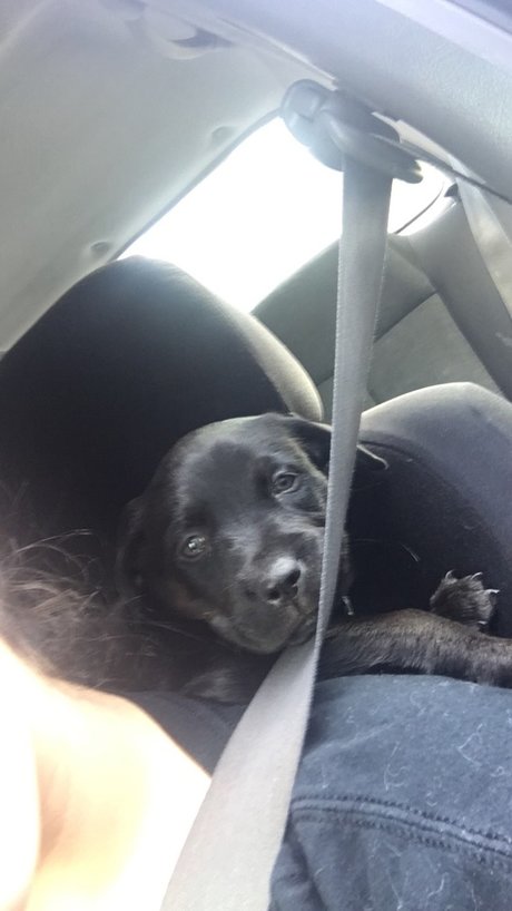 Naomi Evans nice pornstar archive