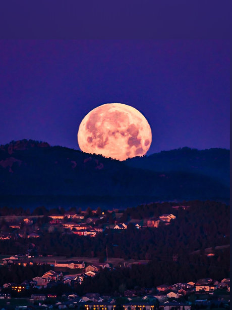 Cara Lynn_ model erotic gallery