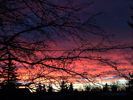 Alice s Wonderland_ porn actress pics