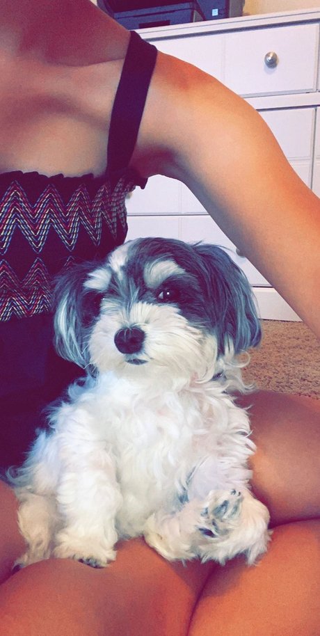 MOLLY MORKIE top model photo