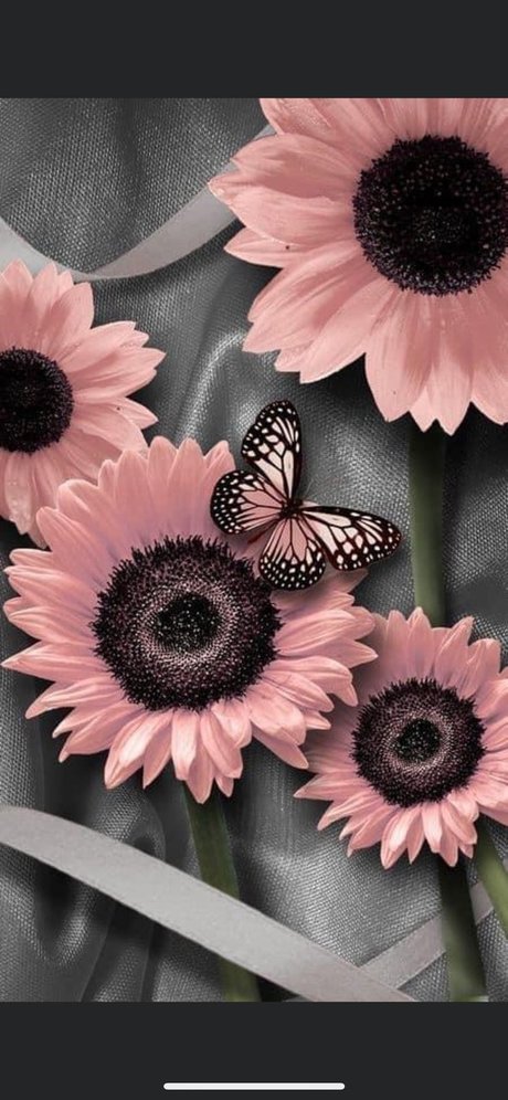 Elegant Scarlett best pornstar image