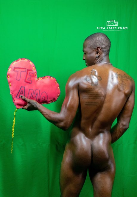 Niche Flow Element pornstar top photo