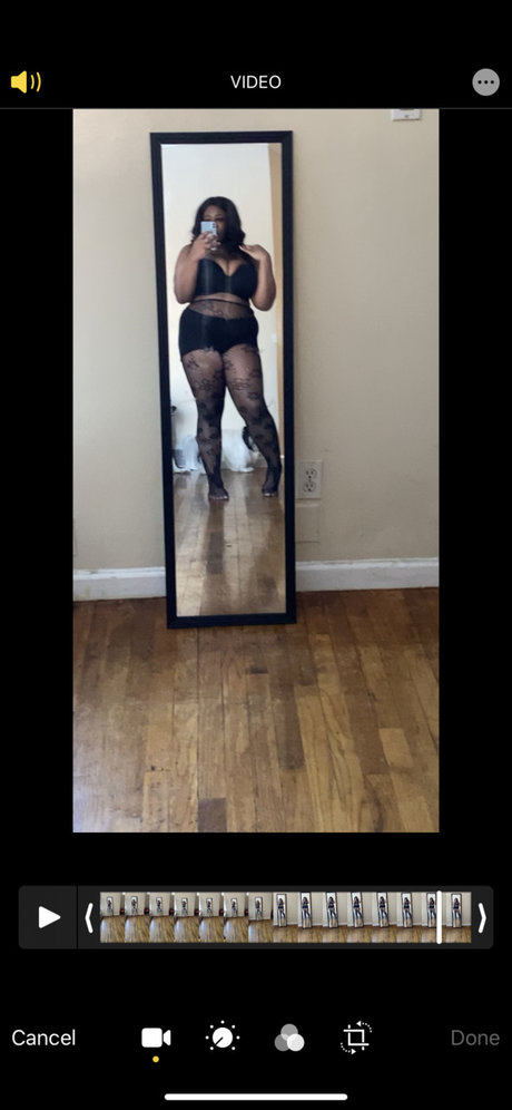 Dai star top gallery