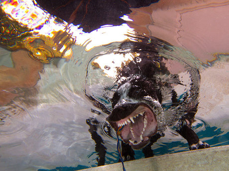 cuminside nudes actress archive