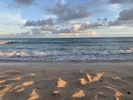 Mack Apuno pornstar free image