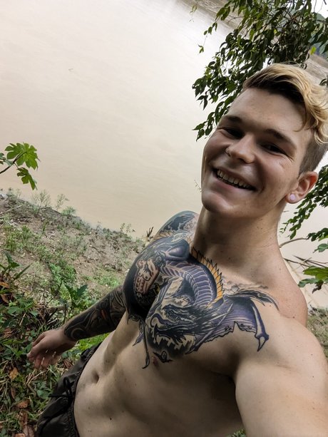 Boa art star galleries