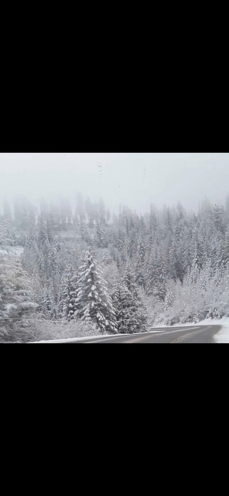 Casey lee Pappan pornstar art archive