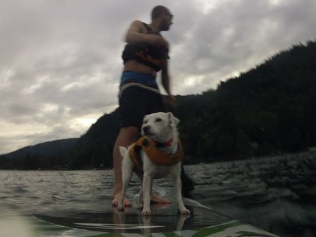 Auston O lapas xxx actress archive