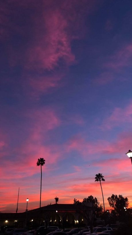 Austin Growney model hd pictures