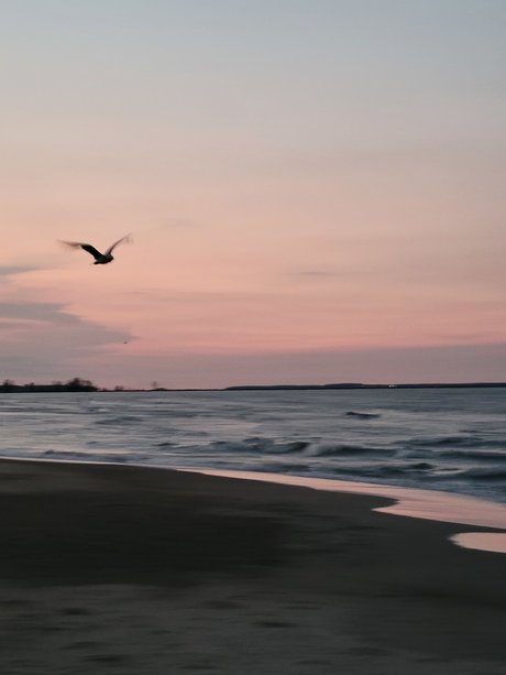 Nicole Phillips free model photos