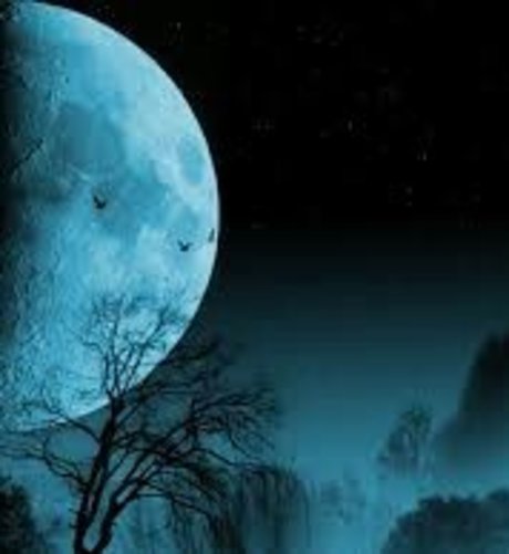 NightGod772 star galleries