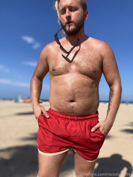 Nicos lowe model top photo