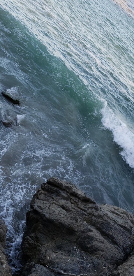 dadddy pornstar nudes galleries