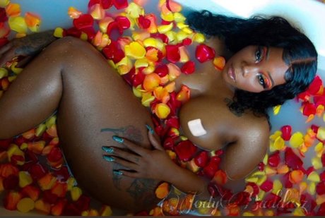 Jodybaddasz pornstar best image