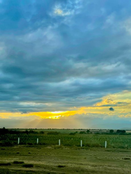 Niza Salvador star exclusive img