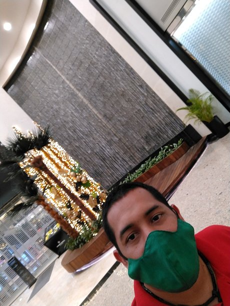 Augusto Nicolas art star pictures