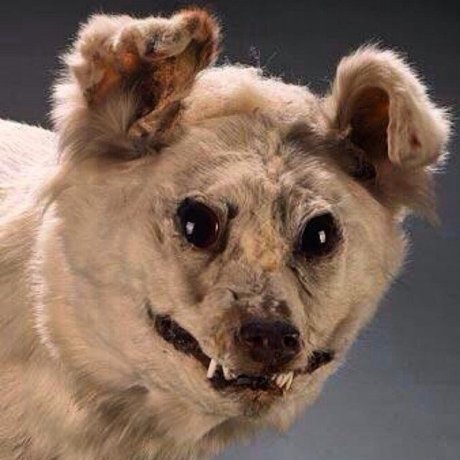 esc ort pornstar pretty img